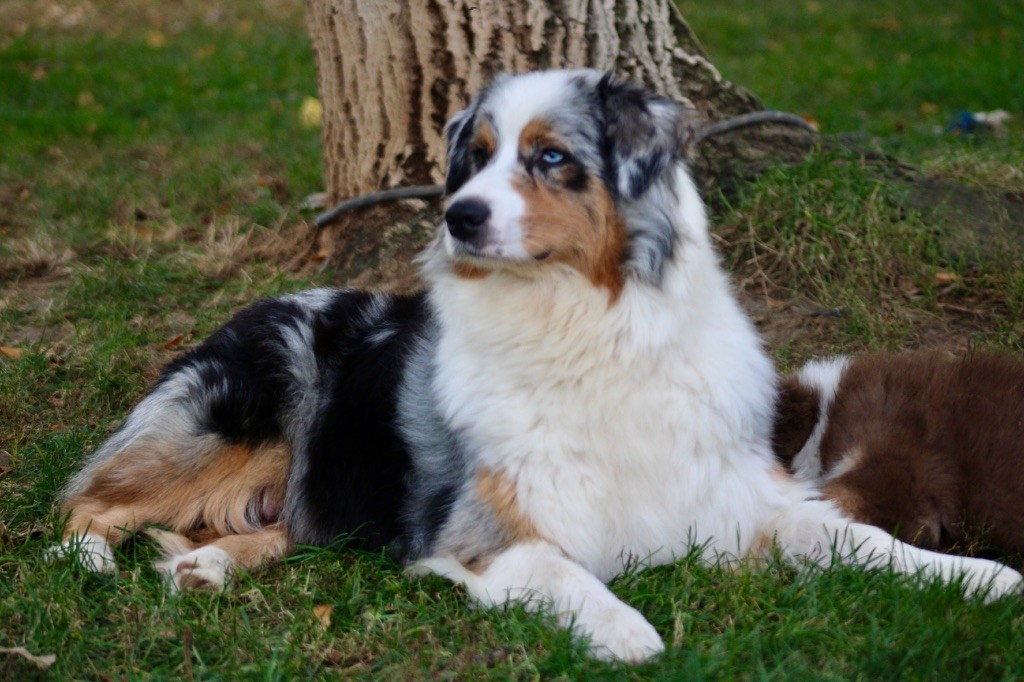 Vendetta perfetta di casa sant anna